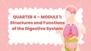 Quarter 4 Module 1: Structures and Functions of the Digestive .